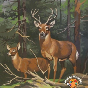Forest Deer PAINT by NUMBER Kit  Adult , Kitschy Vintage Style DIY Painting , Easy Acrylic Paint Kit,Rustic Cabin Decor Gift
