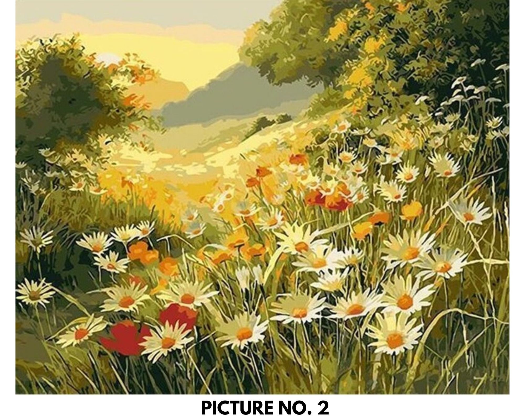 Kit De 4 Pinturas Por Números Sobre Lienzo Enmarcado – Flores De Girasol Y Margarita, Set Acrílico Para Principiantes