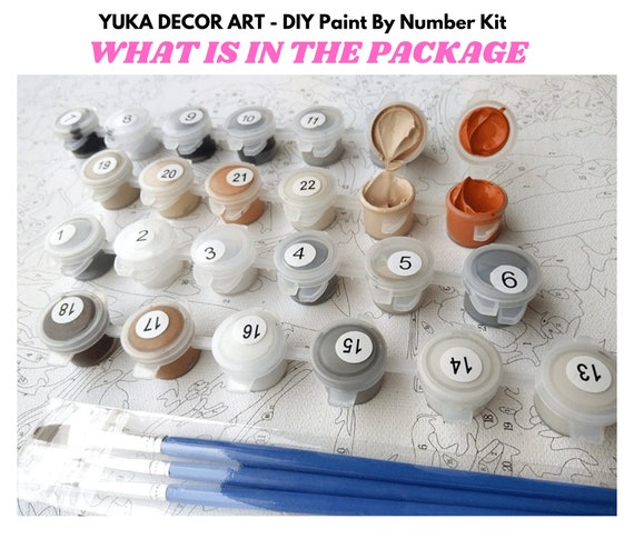 Premium Paint by Numbers Kit for Adults - Air Travel