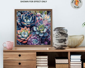 Succulents Garden Paint by Number Kit Adult Canvas Painting DIY Color by Numbers Set Easy DIY Beginners Painting Home Decor Gift GirlFriend