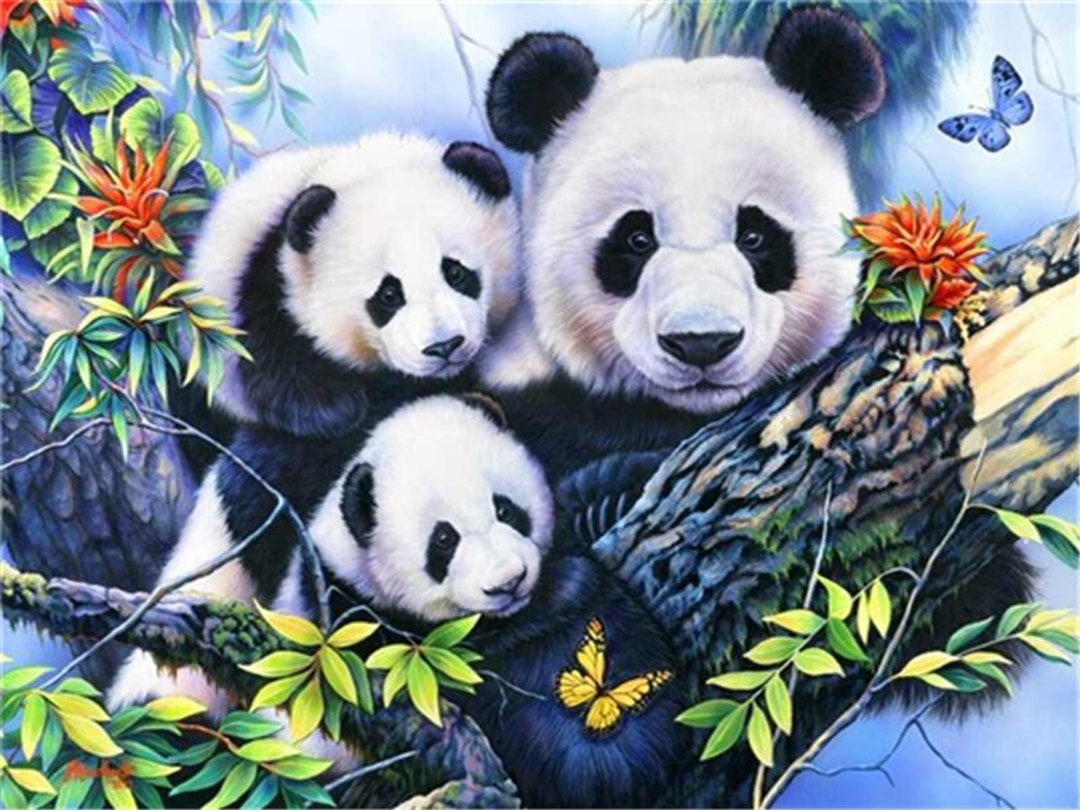  SKMN Pintura artística por número para niños y adultos,  acuarela lindo animal panda, kits de pintura al óleo para niños y niñas,  regalo de pintura, decoración del hogar, 15.7 x 19.7