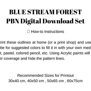 Blue Stream Forest - DIY Nature Vintage Style Art PAINT by NUMBER Digital Download Kit ( No Physical Item shipped ) - Print And Paint Set image 6