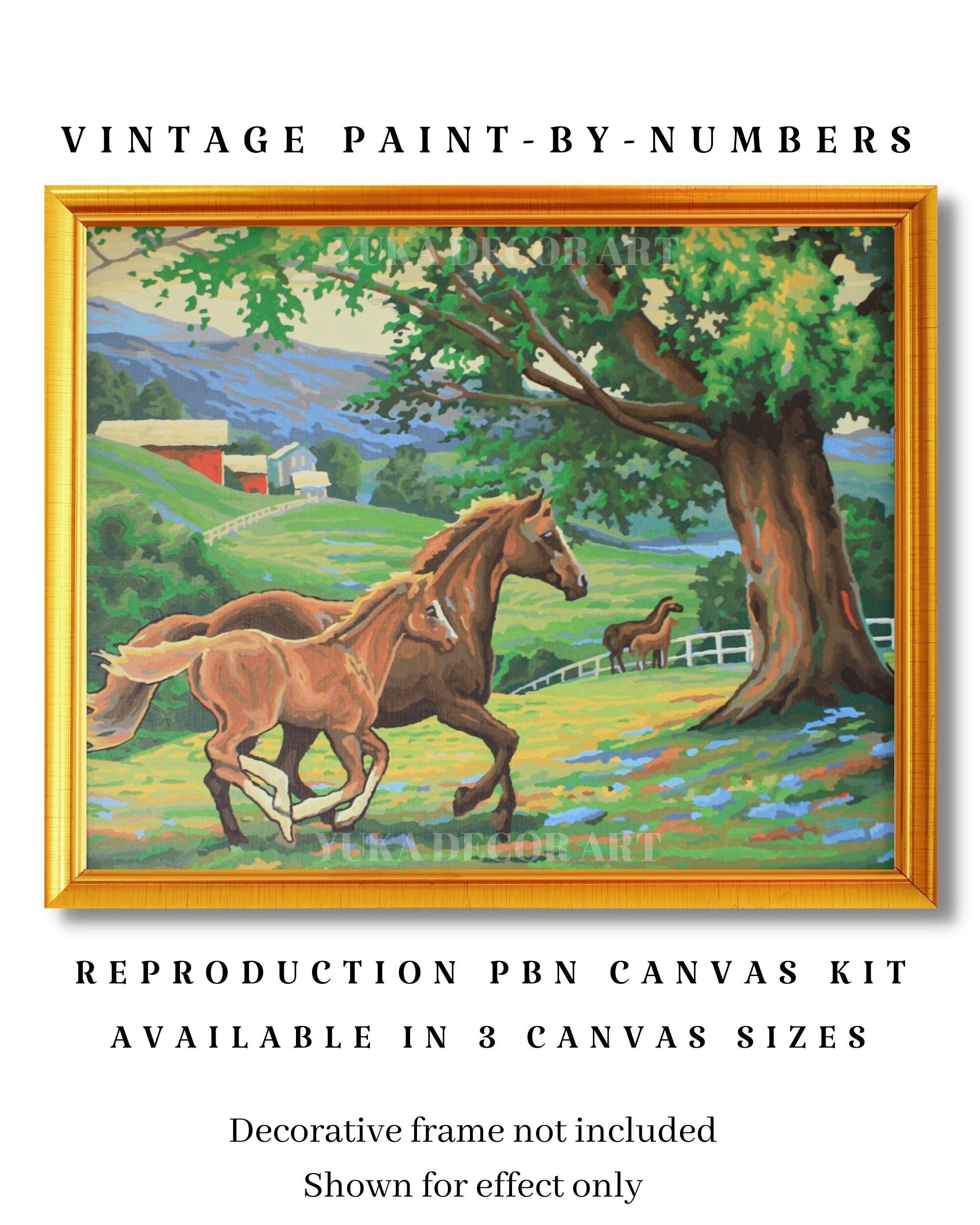 Kit De 4 Pinturas Por Números Para Niños Y Adultos - Lienzos, Pinceles Y Pinturas Acrílicas Incluidas - Regalo Creativo DIY (Caballo, Búho, Elefante, Tortuga)