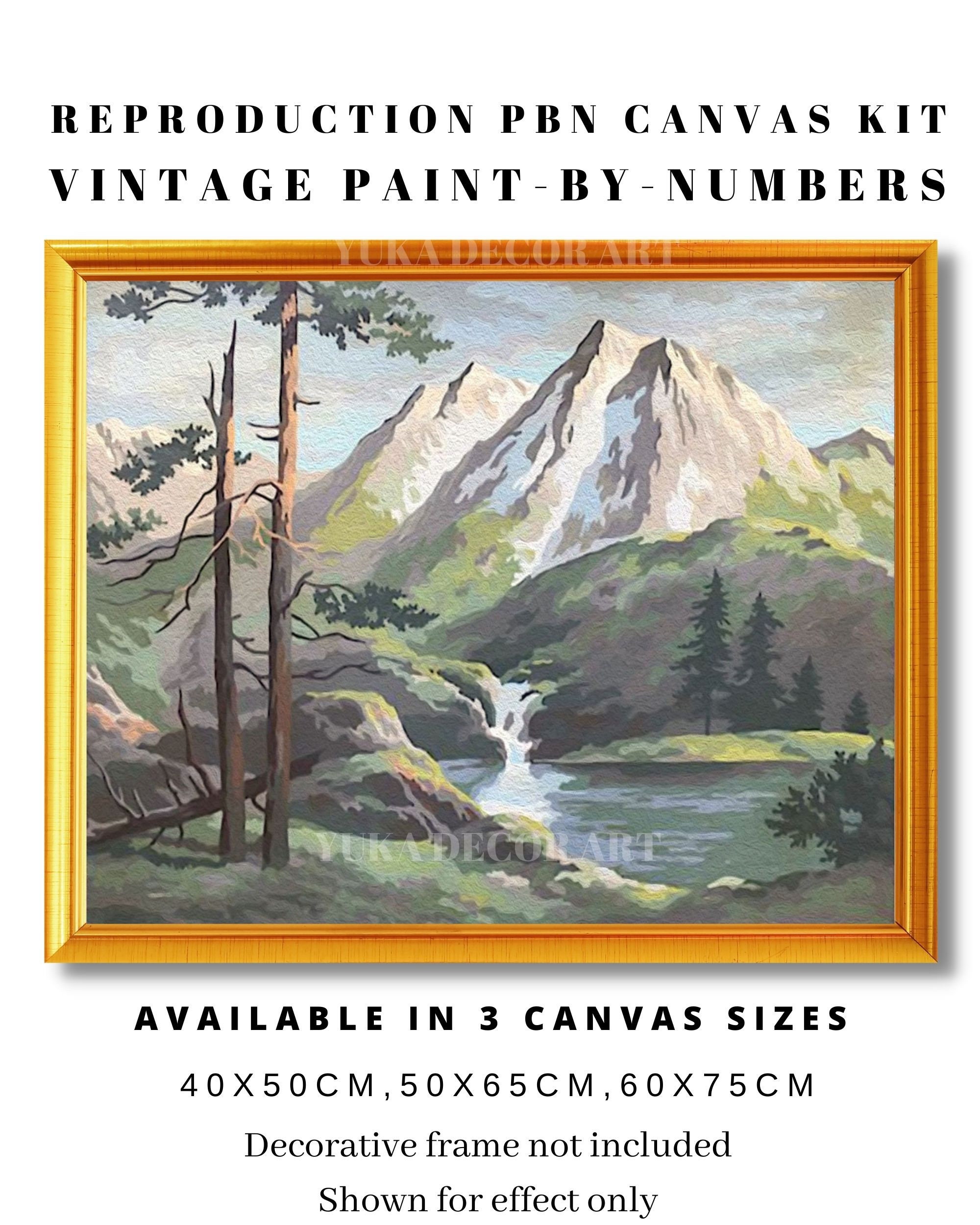 Vintage PAINT by NUMBER DIY Kit for Adult Nature Landscape Mountain Cabin  Easy Beginner Acrylic Painting Kit Home Decor Gift Grandmother Dad 