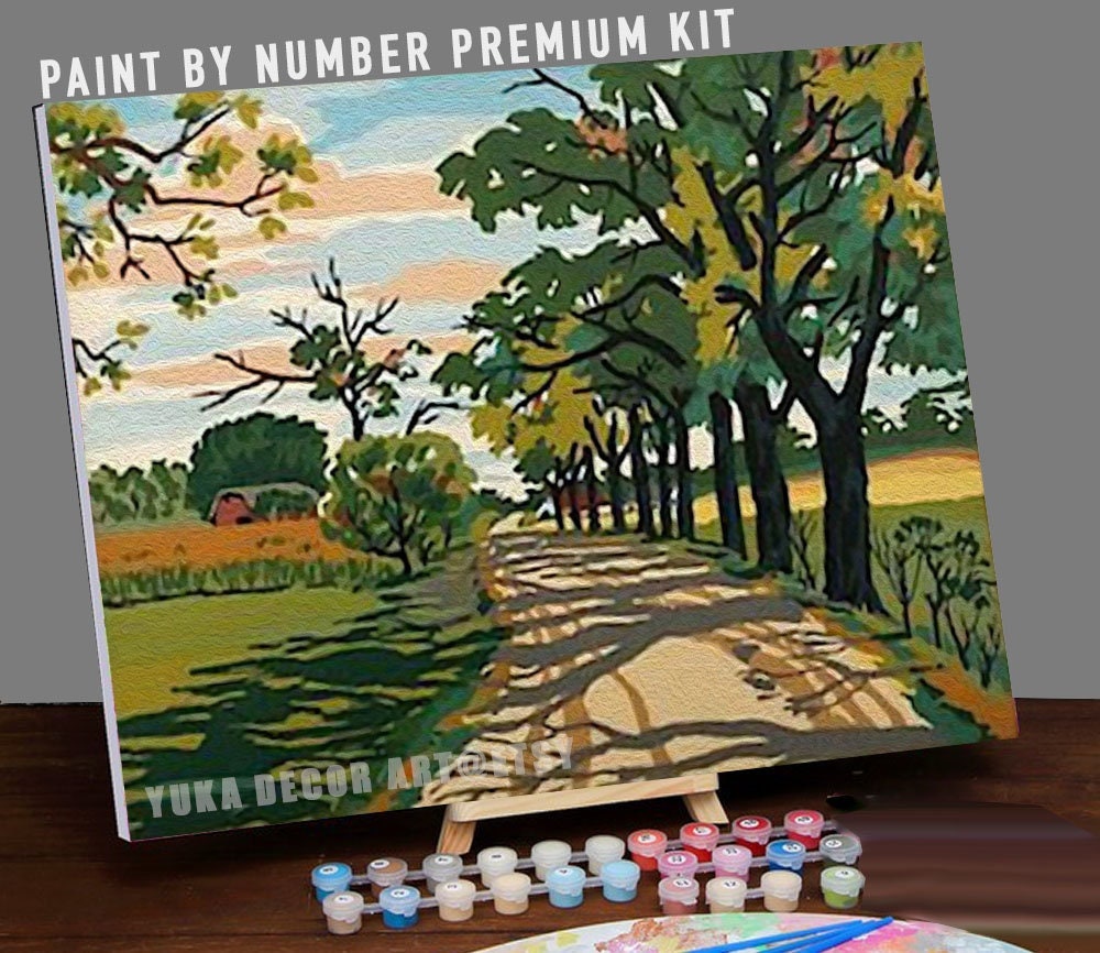 Vintage Style PAINT by NUMBER Kit Adult, Stream River Landscape , Mountain  National Park Easy Beginner Acrylic Painting DIY Kit , Home Decor 