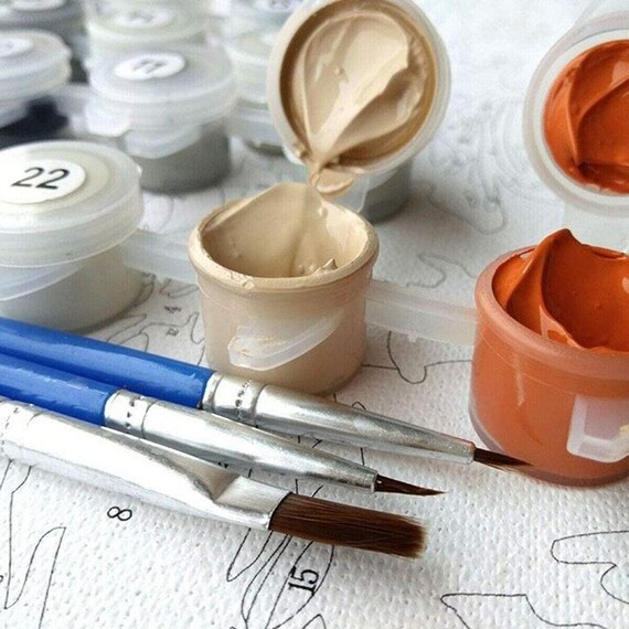 YALKIN Kit per dipingere con i numeri per adulti, kit per dipingere con