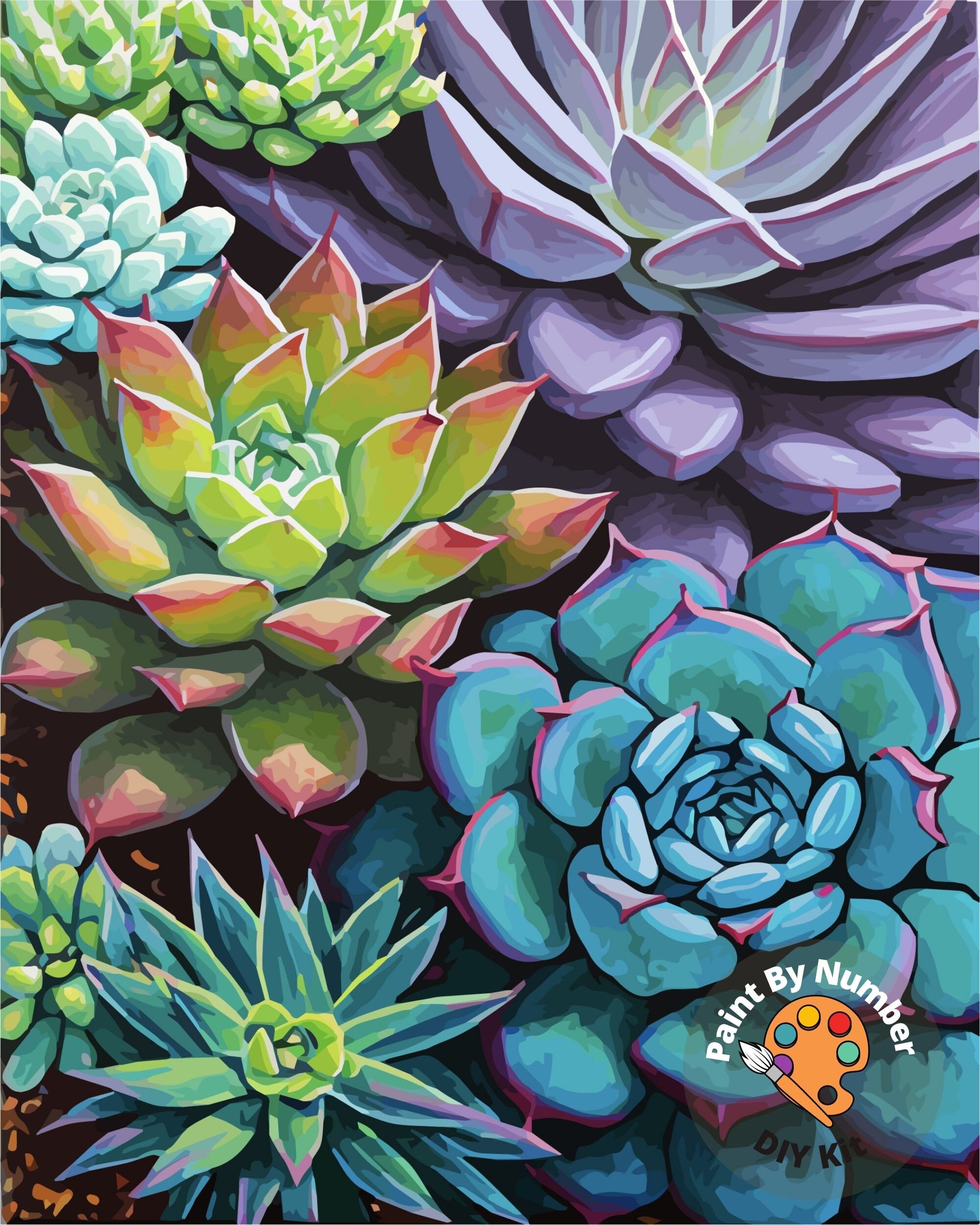 Succulents Garden Paint by Number Kit Adult, Canvas Painting ,DIY Color by  Numbers Set, Easy DIY Beginners Painting Kit ,home Decor 