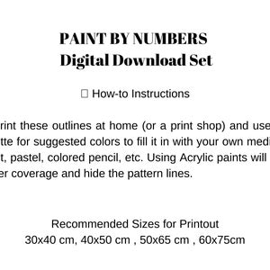 PBN DIGITAL DOWNLOAD Forest Deer Mountain Lake Vintage Style Art - ( No Physical Item shipped ) - Print And Paint Set image 6