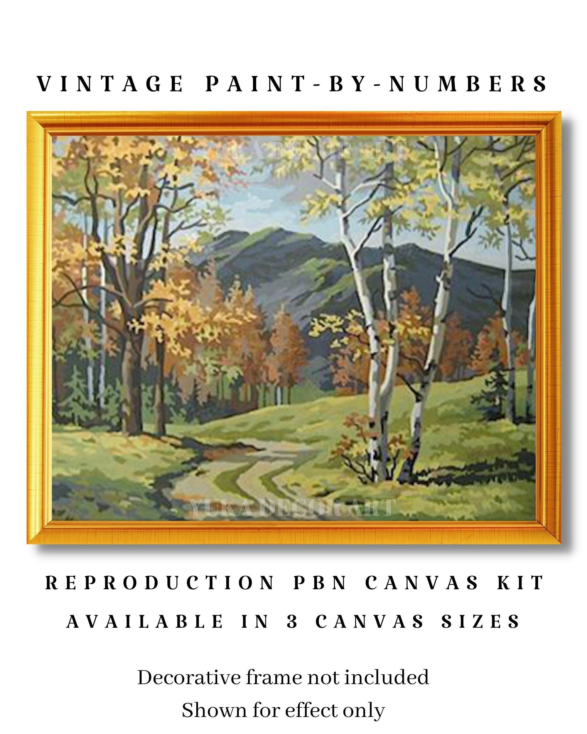 Paint by Number Fall Forest Waterfalls Scenery Abstract Landscape DIY  Painting on Canvas with Brushes Acrylic Paints Perfect for Paint by Numbers  for