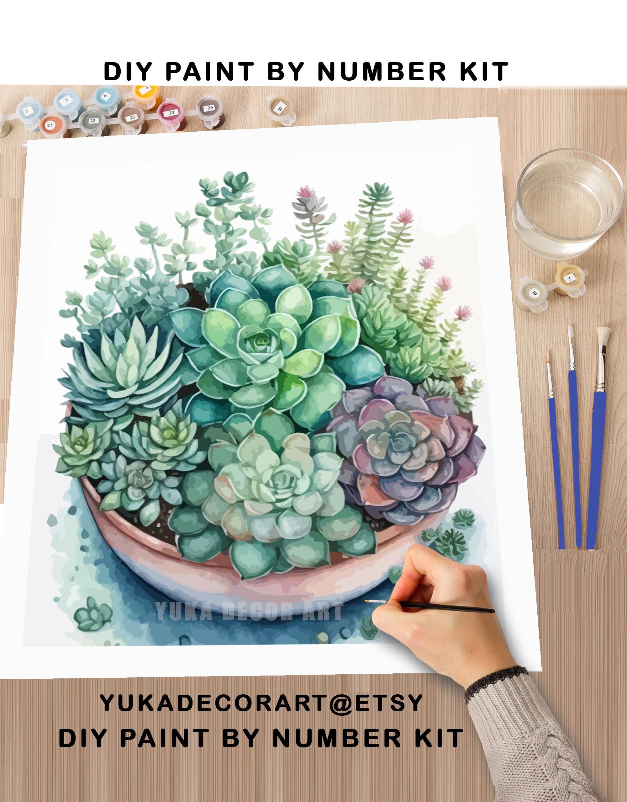 Succulents PAINT by NUMBERS Kit Adult Garden Lover Gift Easy DIY