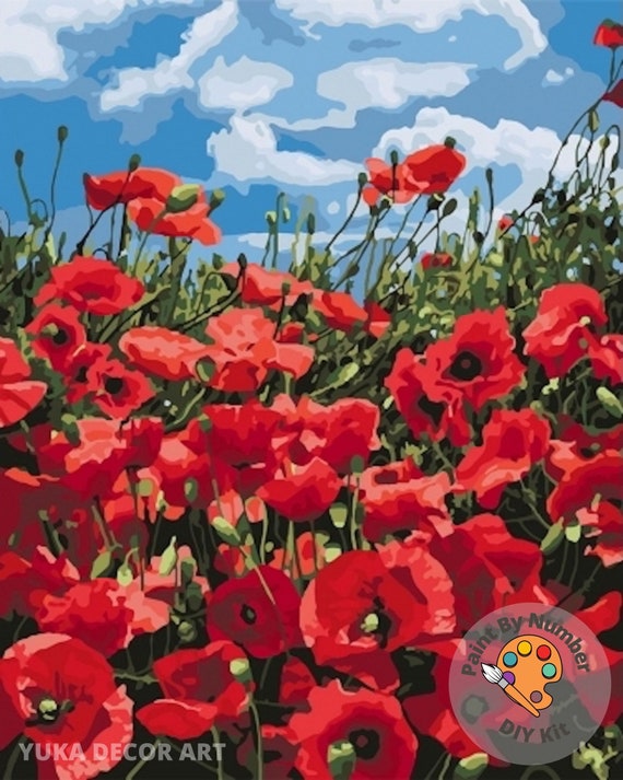 Auremi Malen Nach Zahlen Blumen 20x30cm - DIY Kunstkit Mit Holzrahmen & 3 Pinseln