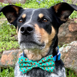 May include: A black and brown dog wearing a turquoise bow tie with a pattern of hamburgers and ice cream cones. The dog is sitting in a grassy area with rocks in the background.