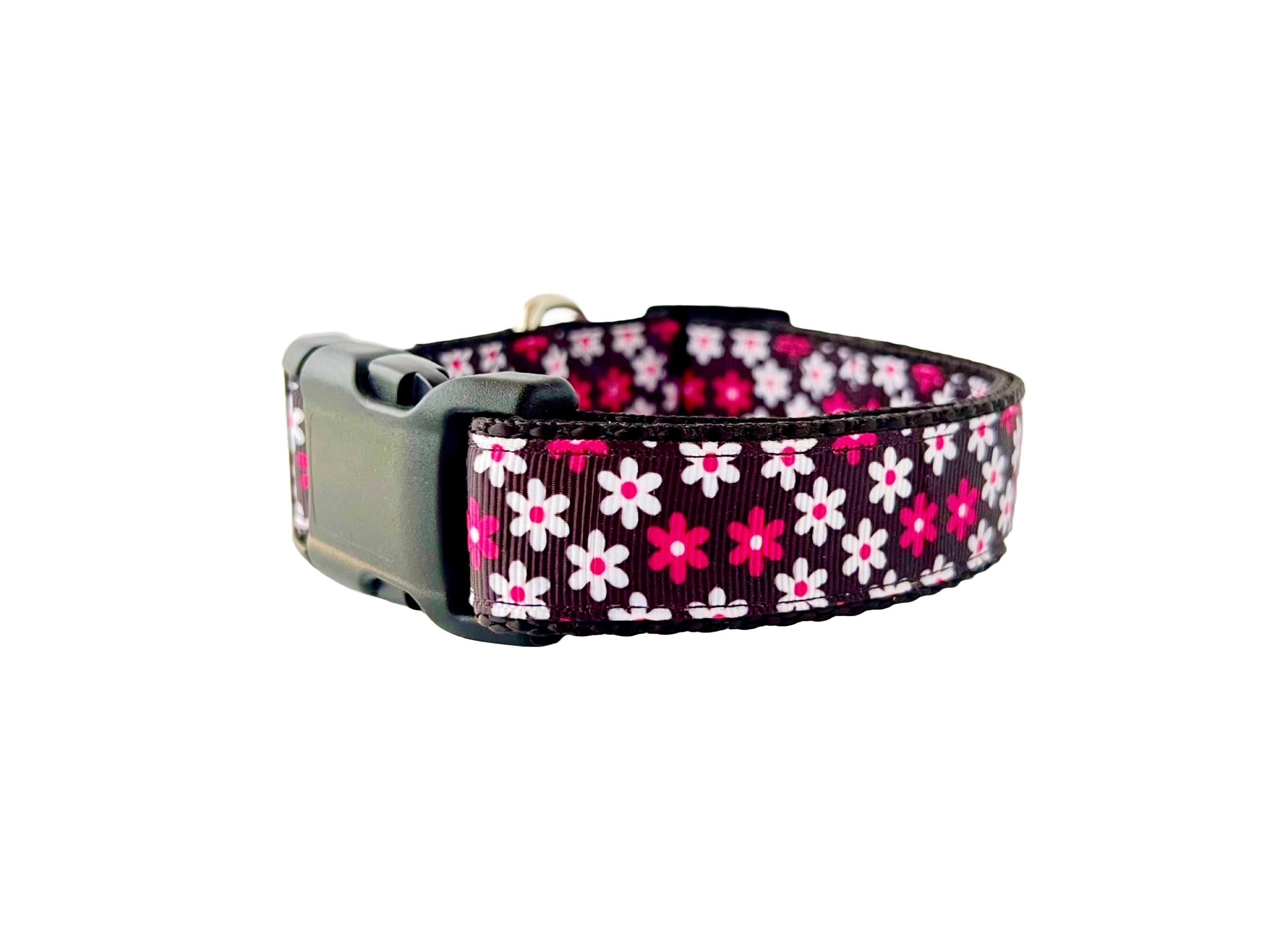 Cute Daisy Dog Collar / Crazy about Daisies