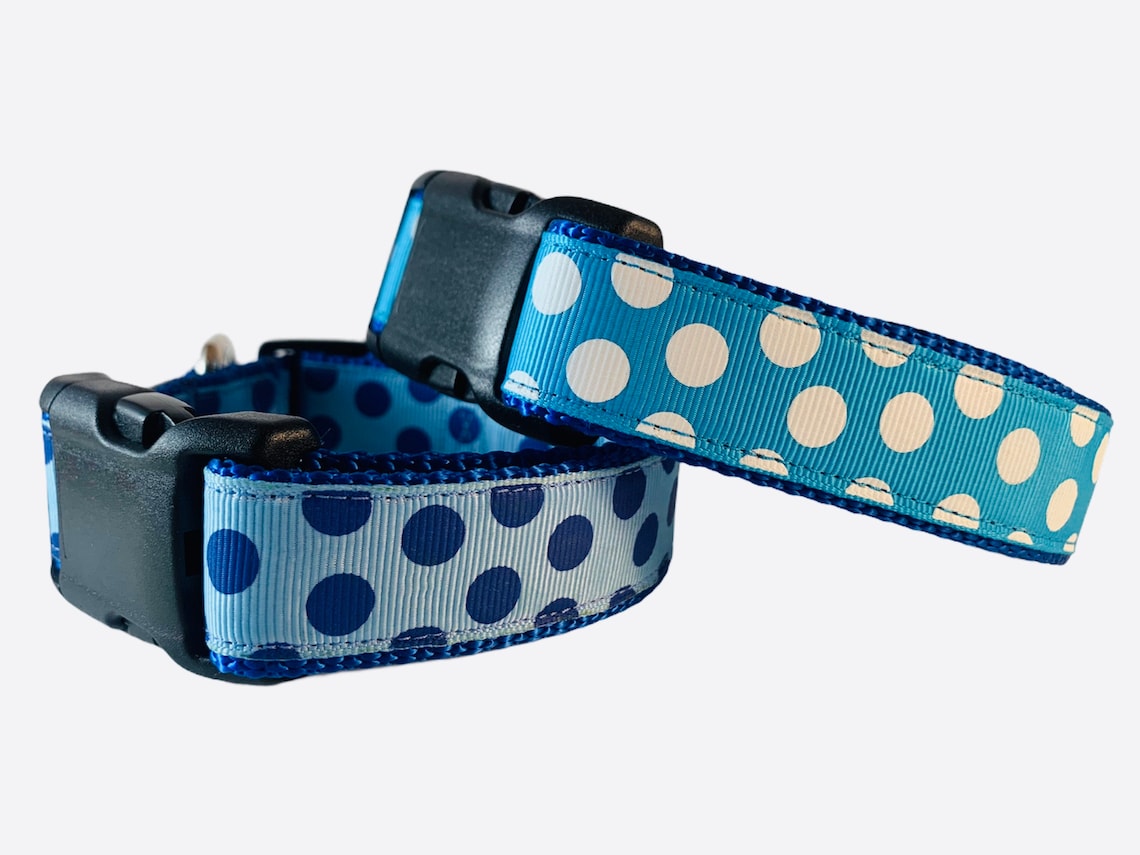 Light Blue Dog Collar Polka dot collar stylish male dog Etsy
