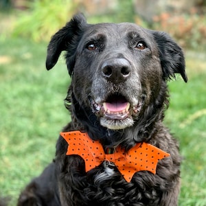 Halloween Dog Bow Tie / Dog Bow Ties / Bat Dog Bow Ties/ Pet Bow Tie / Bat Shape Dog Bow Tie / Pet Accessories