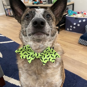 Halloween Dog Bow Tie / Dog Bow Ties / Bat Dog Bow Ties/ Pet Bow Tie / Bat Shape Dog Bow Tie / Pet Accessories image 4