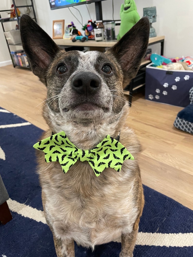 Halloween Dog Bow Tie / Dog Bow Ties / Bat Dog Bow Ties/ Pet Bow Tie / Bat Shape Dog Bow Tie / Pet Accessories image 4