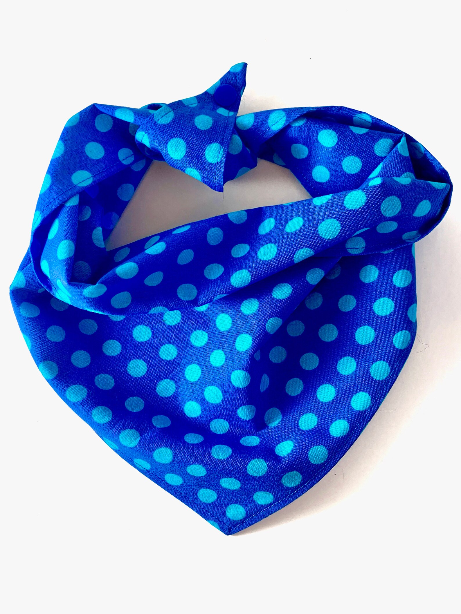 Light Blue Dog Collar Polka Dot Collar Stylish Male Dog Etsy