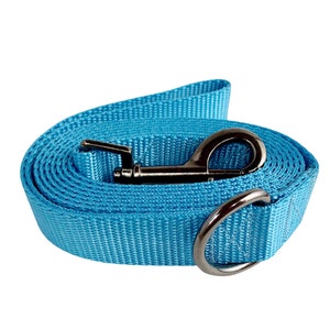 May include: A bright blue dog leash with a silver clip and a silver ring.