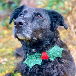 Holly-Day Hundefliege / Weihnachtsfliege für Hunde / Feiertagsfliege für Hunde / Haustierfliege / Holly Berry Hundefliege / Haustierzubehör Bild 1