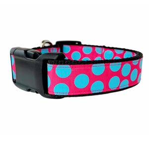 Pink Dog Collar - Bright Pink and Light Blue Polka Dot Summer dog collar, Pink Designer buckle collar