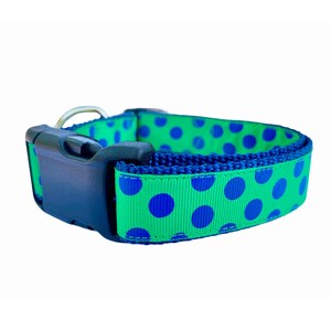 May include: A green dog collar featuring blue polka dots and a navy blue trim. It has a black plastic buckle and a silver metal D-ring for leash attachment. The collar is made of a durable fabric.