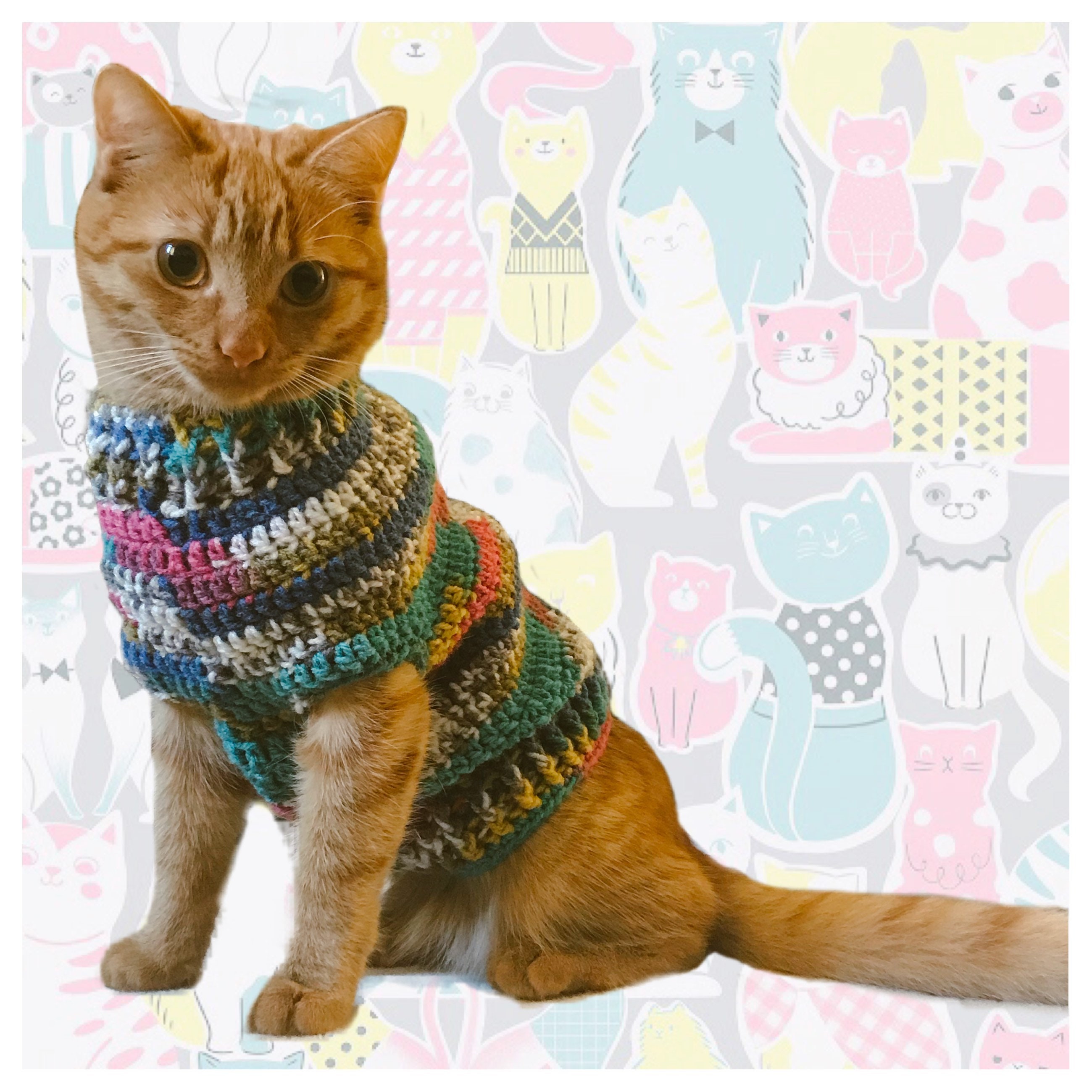 Cute Cat Jumper for Kittens & Cats Etsy