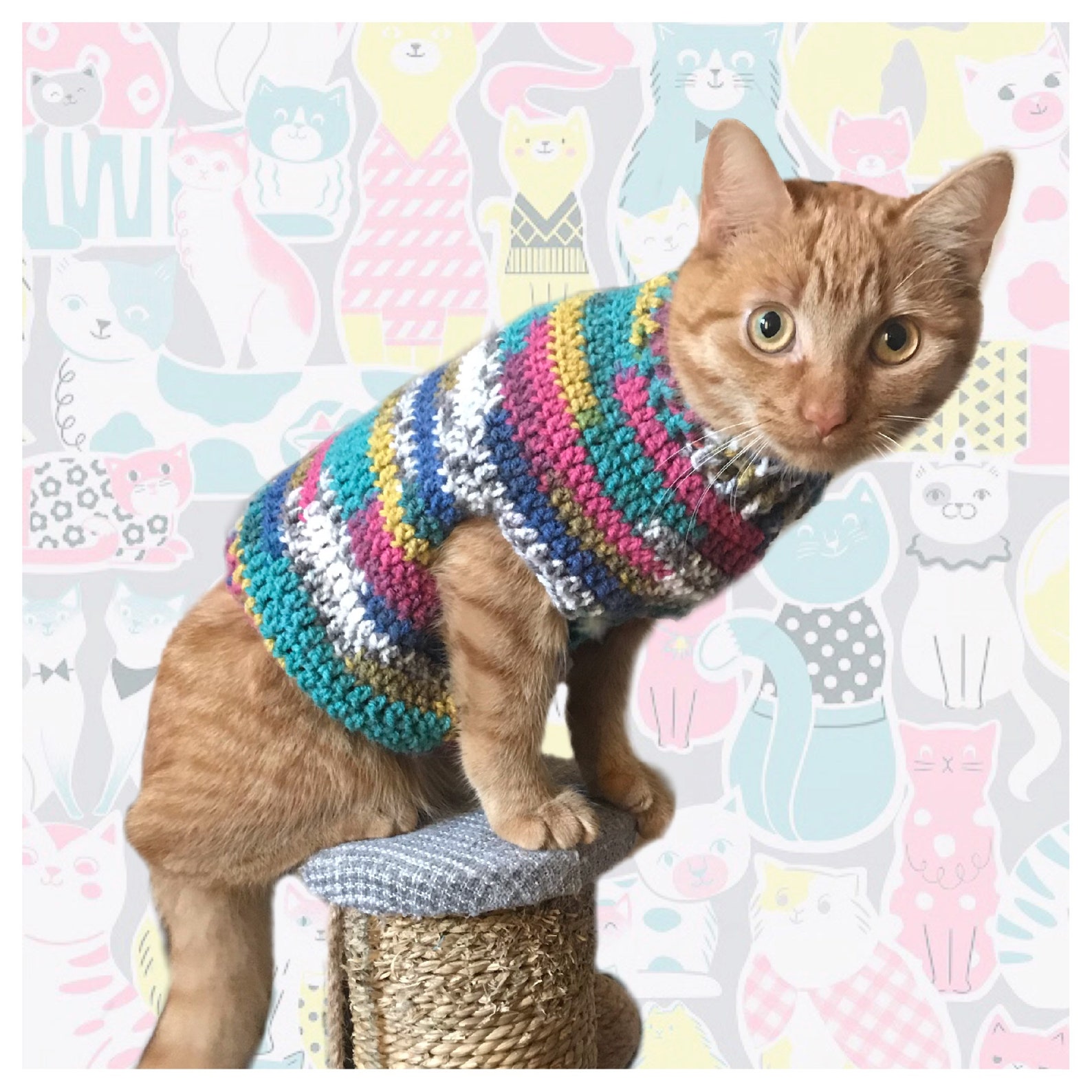 Cute Cat Jumper for Kittens & Cats Etsy