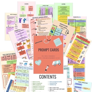 PARAMEDIC Prompt cards - student paramedic FLASH CARDS - Printable - Digital