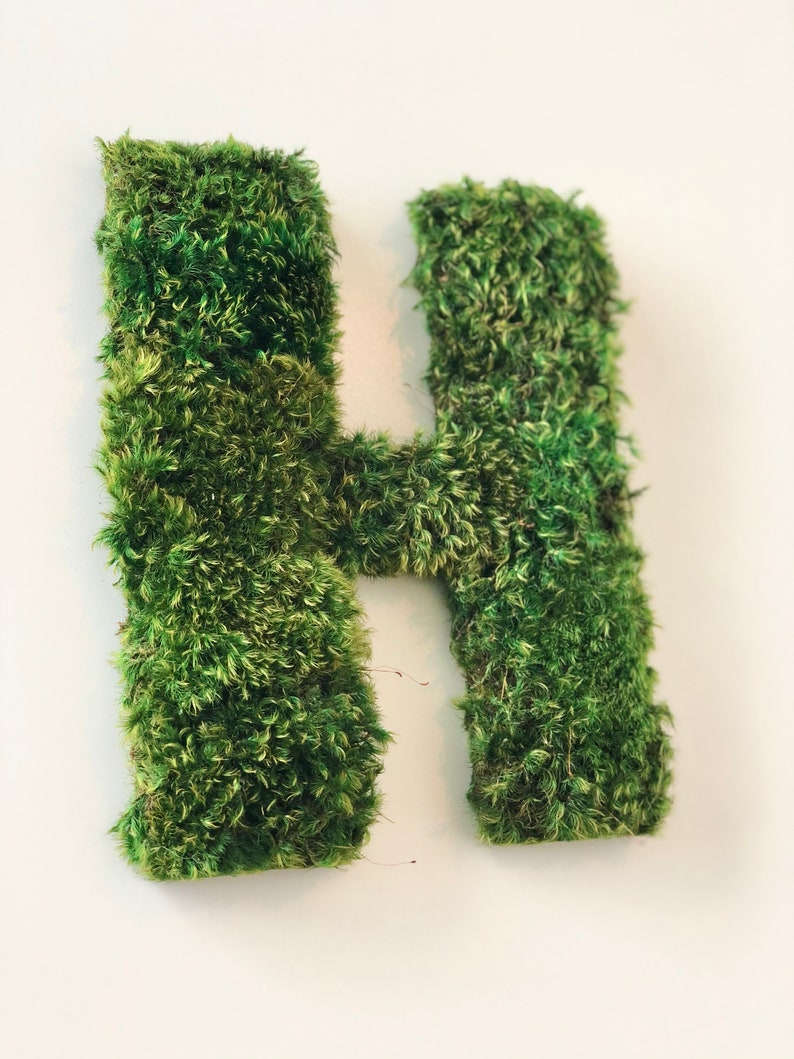 Moss Letter Moss Art Moss Word Mood Moss Mood Moss - Etsy