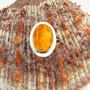 May include: Oval-shaped ring with a bright orange gemstone set in a silver band. The ring is displayed on a textured, multi-toned seashell, showcasing the jewelry's natural aesthetic. The gemstone's color contrasts with the silver setting.
