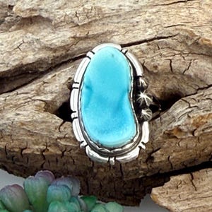 Appaloosa Turquoise Kidney Shaped Shadowbox And Die Cut Bead Ring Size 7