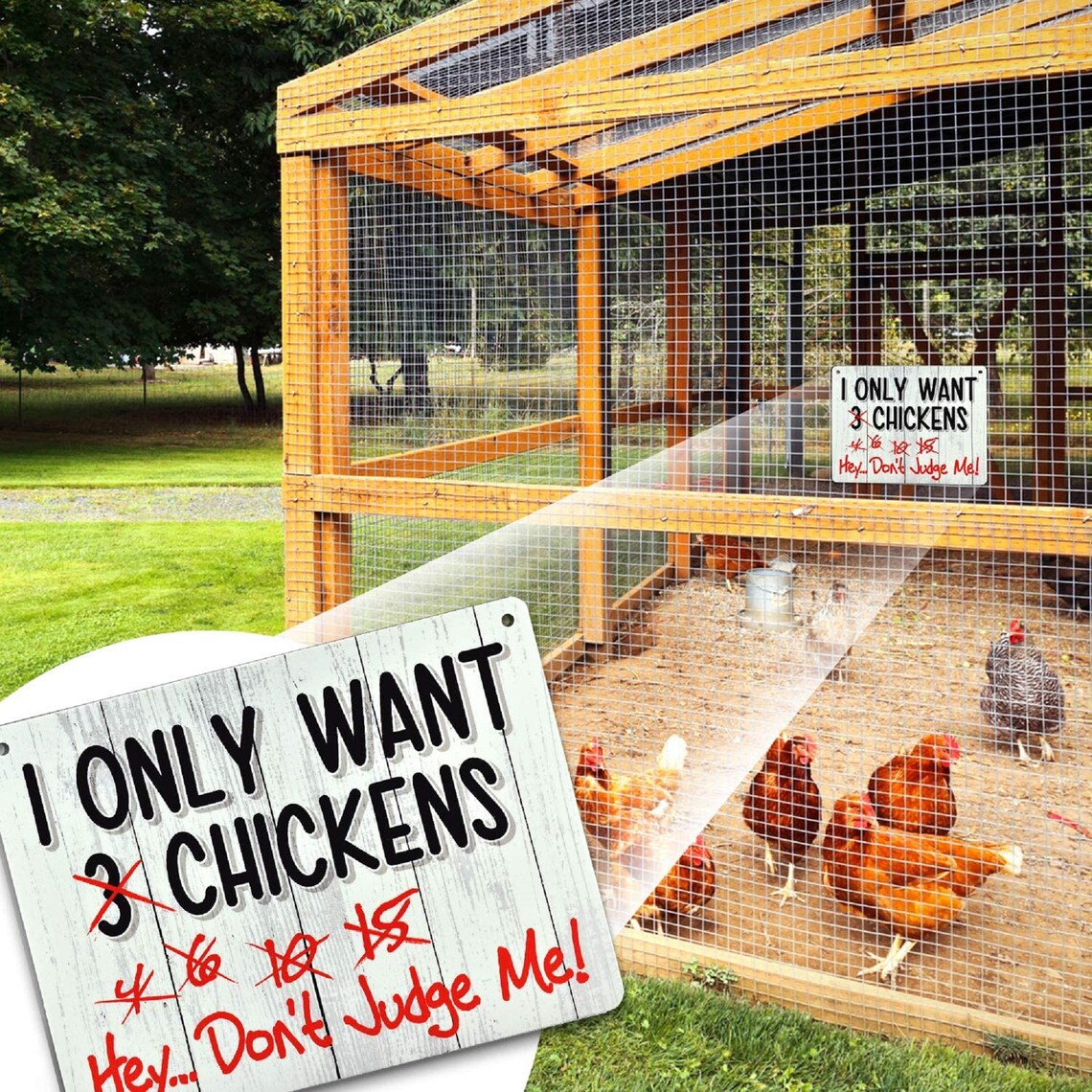 I Only Want Chickens Funny Coop Farm Home Kitchen Etsy