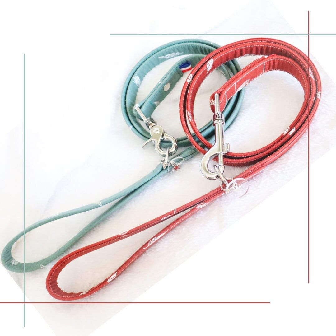 Laisse Chien /Modèle Fly