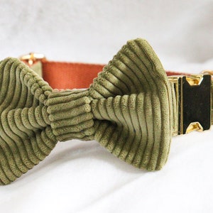 Bow for dogs and cats /Classic Knots/Collection Sweetness image 6