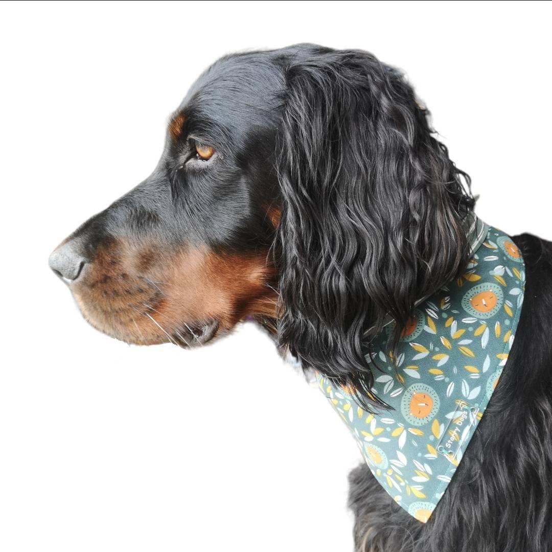 Bandana à Nouer Zoleia