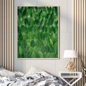 Botanical Green Leaf Plant Photo Download,  Nature Tropical Plant Photo Print , Large Poster Wall Art, Printable Artwork of Leaves
