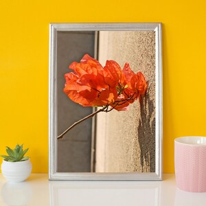 flower wall art digital download,  for living room, bedroom, flower wall art living room decor prints, flower photo digital download