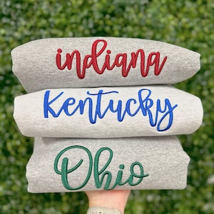 Custom Puff 3D Embroidery Sweatshirt, Personalized Crewneck, Personalized Mascot Pullover, Trendy 3 Dimensional Embroidered State Sweatshirt