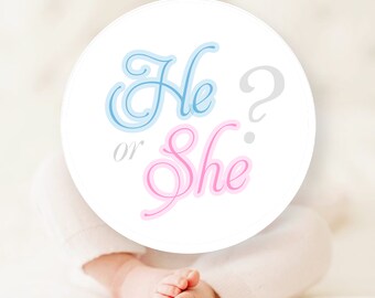 He or She Stickers | Etsy
