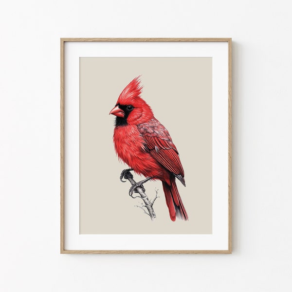 Northern Cardinal Print, Minimal Animal Digital Printable Art, Red Bird Nature Drawing, Bird on a Branch Wall Decor, Exotic Wall Decoration
