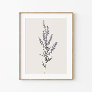 Printable Minimal Lavender Sketch, Lavender Flower Drawing, Floral Sketch Digital Downloadable, Kitchen Wall Decor, Minimalist Wall Decor