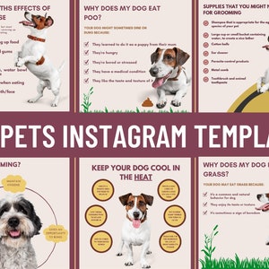 30 Pets Care Instagram Templates Pet Engagement Social Media Pets Business Pet Business Pet Grooming Tips Instagram Infographics image 1