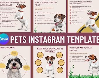 Pets Care Tips Instagram Templates | Pet Grooming Infographics (Canva Editable)