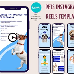 NEW LAUNCH ! 30 Pets Instagram Reels Template | Pet Sitting Business Template | Pets Business | Pet Grooming Tips | Instagram Reels Template