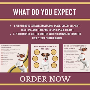 30 Pets Care Instagram Templates Pet Engagement Social Media Pets Business Pet Business Pet Grooming Tips Instagram Infographics image 2