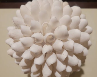 Seashell Centerpiece Etsy