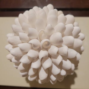 May include: A spherical decorative object composed of numerous small, white seashells. The shells are arranged in a layered pattern, creating a textured, floral-like appearance. The overall shape is round and compact, with a smooth, bright white color.