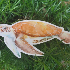 Autocollant imperméable à l’eau de tortue de mer de mer de vinyle