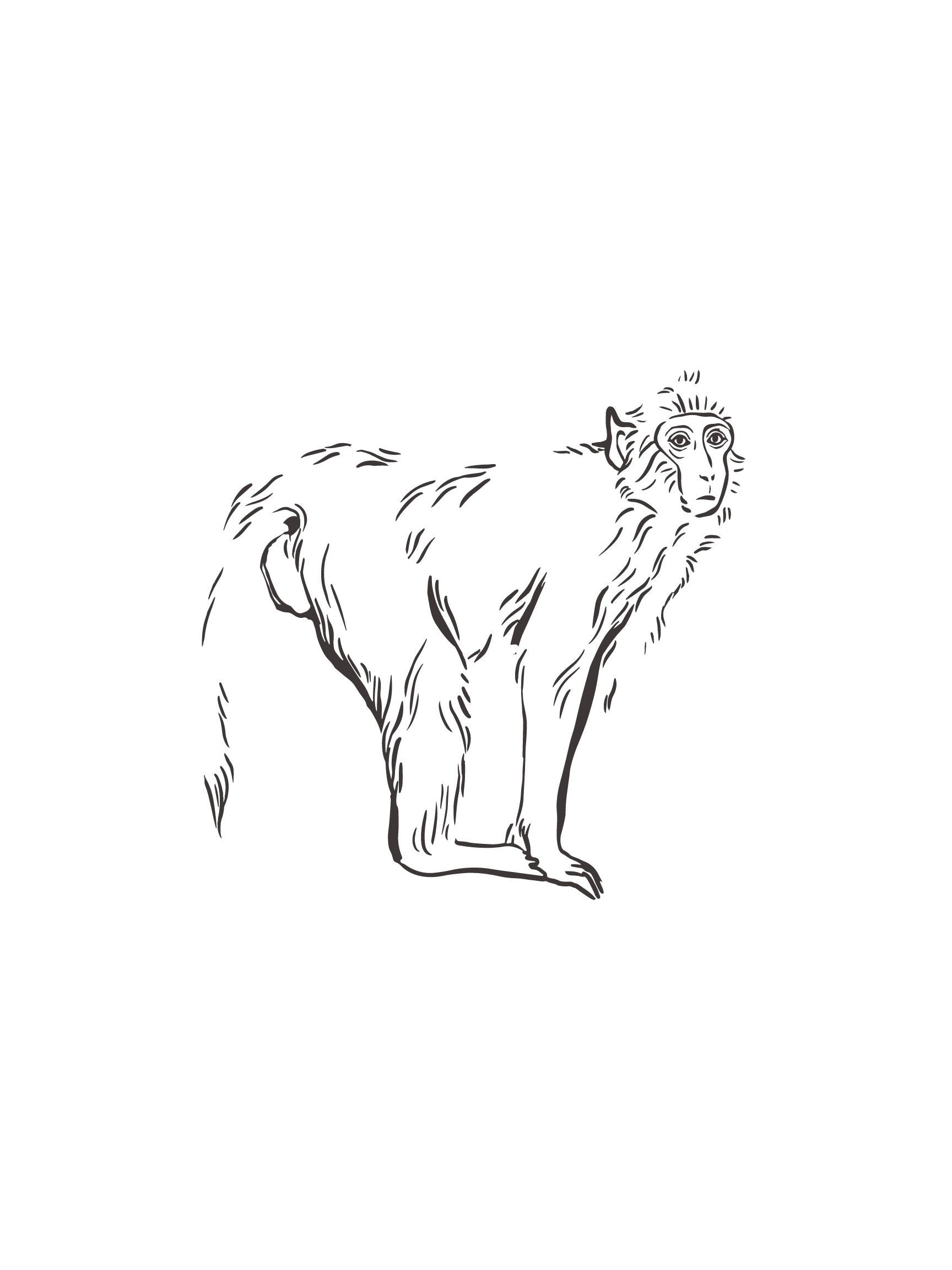 Minimalistic Monkey Wall Art Etsy